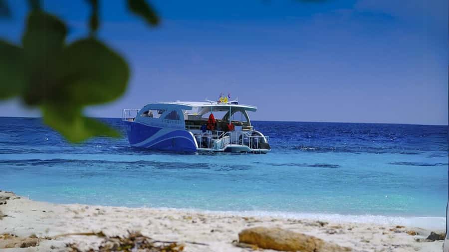 Phuket: Raya Island, Maithon Island, & Dolphin Spotting Tour - Maithon Island dolphin spotting: joy, patience, and no guarantees