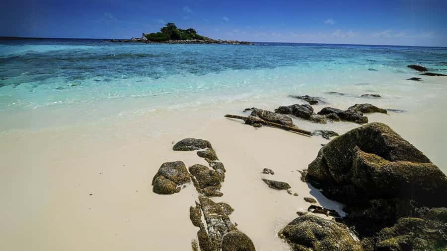 Phuket: Raya Island, Maithon Island, & Dolphin Spotting Tour - Who this tour suits best