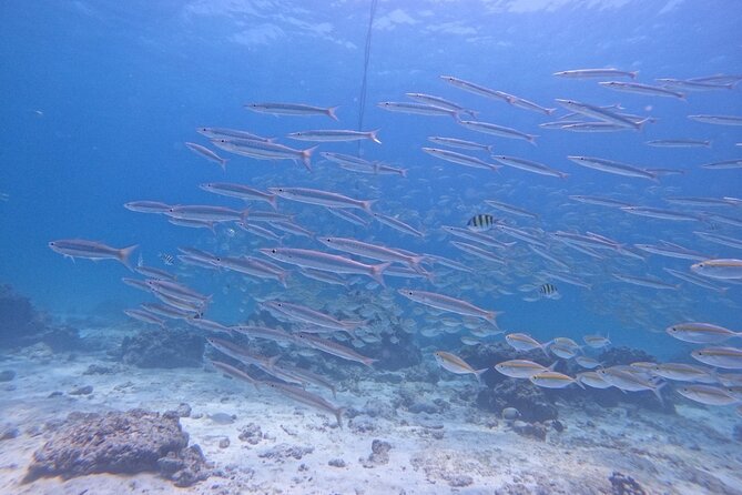 Phuket: Scuba Dive Racha and Coral Islands with Snorkeling Tour - Why Racha and Coral Islands are such a smart Phuket day