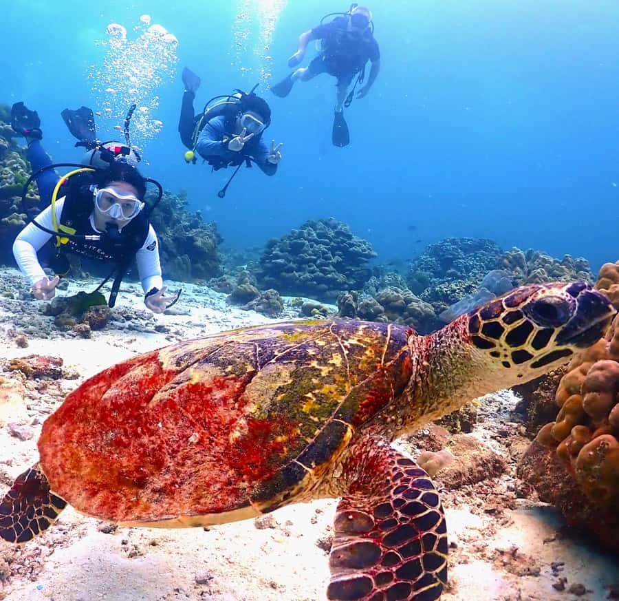 Phuket: Scuba Diving Maithon Or Racha Islands For All Levels - Key things I’d budget for before you go
