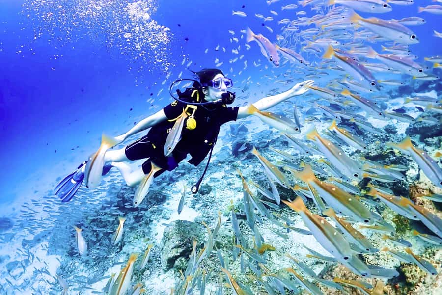 Phuket: Scuba Diving Maithon Or Racha Islands For All Levels - Phuket to the reef: how the boat rides and onboard breaks work