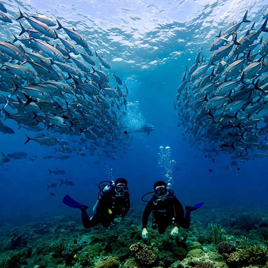 Phuket: Scuba Diving Maithon Or Racha Islands For All Levels - Racha Noi: the healthier-coral feel and the reason many people choose the full day