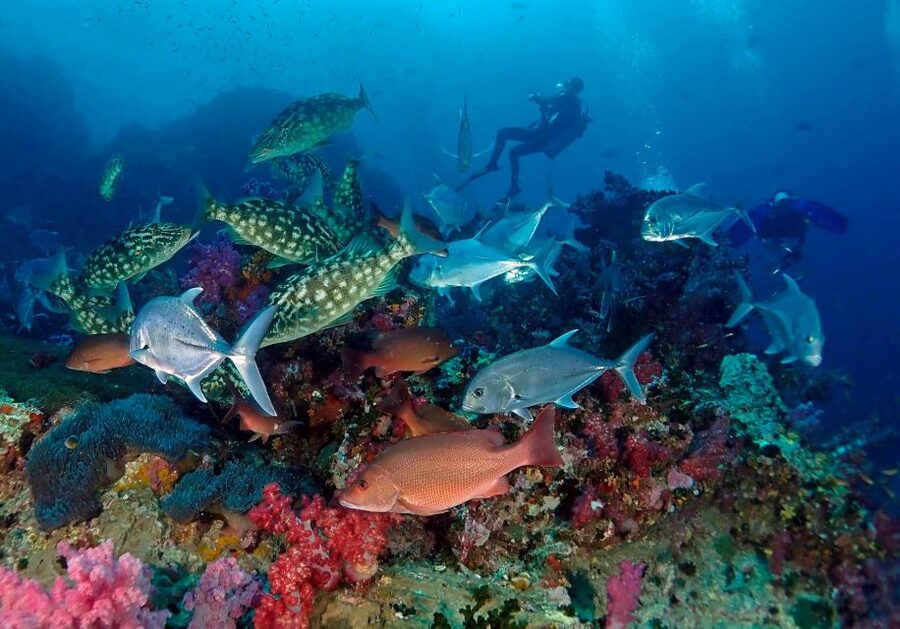 Phuket: Scuba Diving Maithon Or Racha Islands For All Levels - Maiton Island: private-feeling water time without the usual chaos