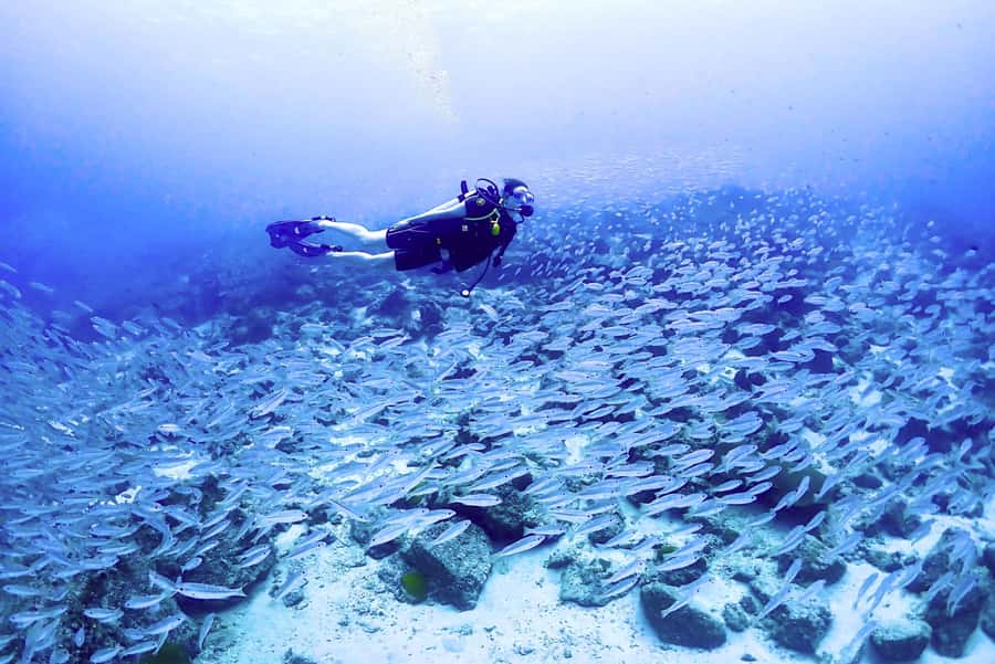 Phuket: Scuba Diving Maithon Or Racha Islands For All Levels - Equipment and instructors: where the small group size really shows
