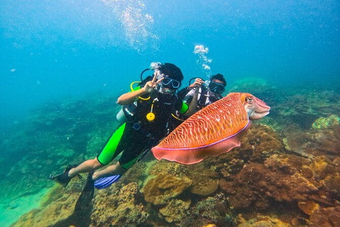 Phuket Scuba Diving Maiton Private Island Small Group or Snorkel - Why Maiton Private Island feels like the better Phuket choice
