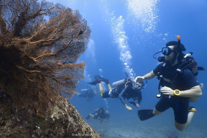 Phuket Scuba Diving Phi Phi Islands (Certified Divers Only) - Ko Bida Nok: caves, crevices, and the geologist’s kind of fun