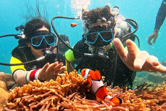 Phuket Scuba Diving: Racha Island Or Maiton Island For All Levels - Small-group service and instructor ratio: what it changes for you