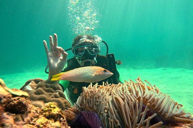 Phuket Scuba Diving: Racha Island Or Maiton Island For All Levels - Food, snacks, and boat comfort on the way to the reef