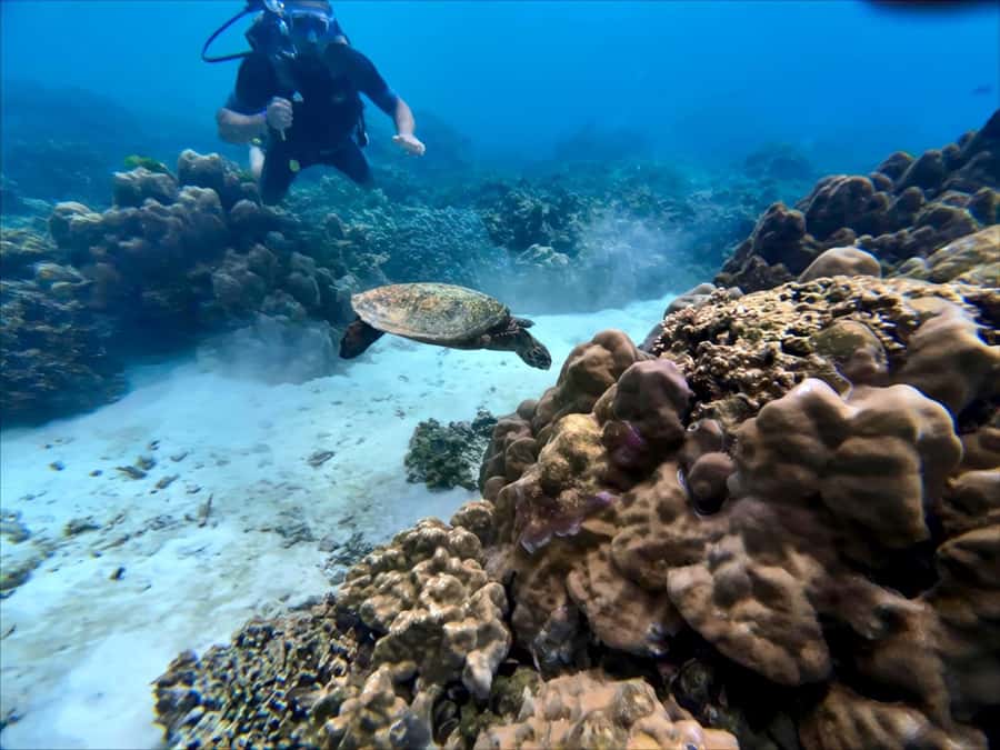 Phuket Scuba Diving Racha Islands 1-3 Dives For All Levels - Beginner underwater time: no swimming needed, but listen closely