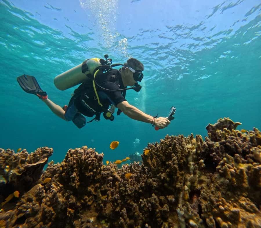 Phuket Scuba Diving Racha Islands 1-3 Dives For All Levels - Certified underwater sessions: up to 3 reef visits, guided and focused