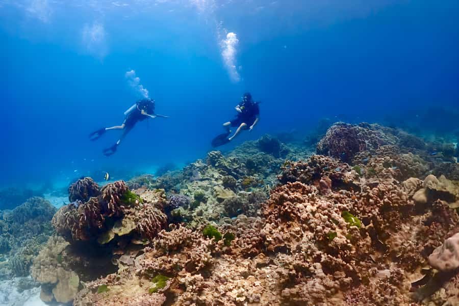 Phuket Scuba Diving Racha Islands 1-3 Dives For All Levels - The day’s rhythm on the water: what happens at each stop