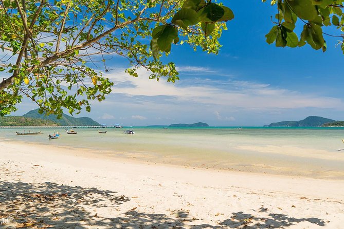 Phuket Shore Excursion - Private City Tour for Cruise Arrival (SHA Plus) - Lunch at a local Thai restaurant: included, but quality depends on the day