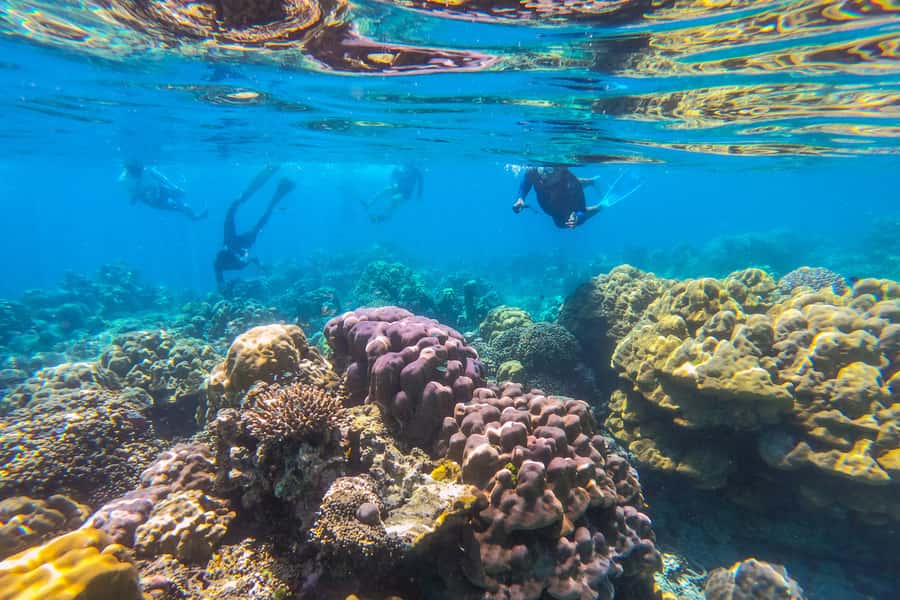 Phuket: Similan day full day trip by speedboat - Why the Phuket to Similan speedboat day feels like value