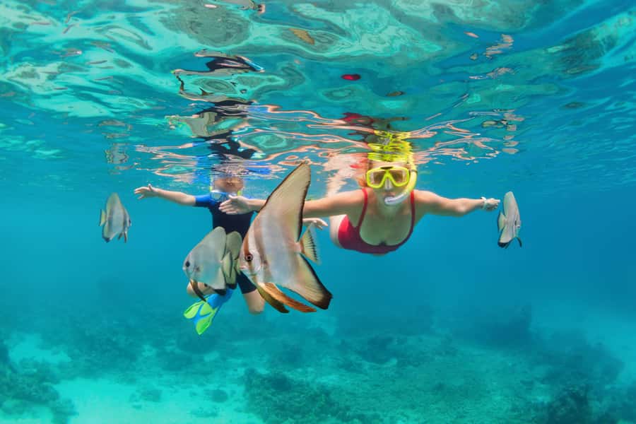 Phuket: Similan day full day trip by speedboat - Getting to the pier: the early start that shapes your whole day