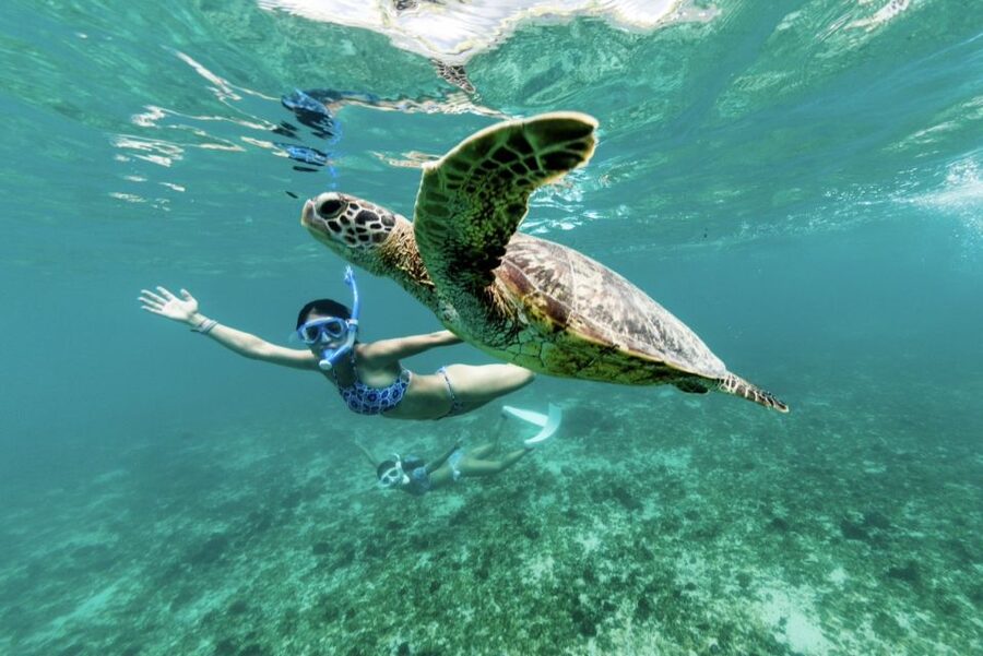 Phuket: Similan day full day trip by speedboat - Meals that keep the day from feeling like a scramble