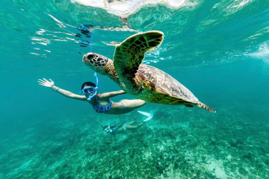 Phuket: Similan day full day trip by speedboat - The first stop: Ko Miang for photos, swimming, and an easy first snorkel