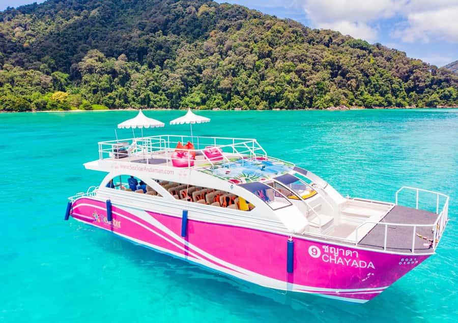 Phuket: Similan Island Day Trip by Speed Boat Catamaran - Koh 5 snorkeling: soft coral and that whale-like rock