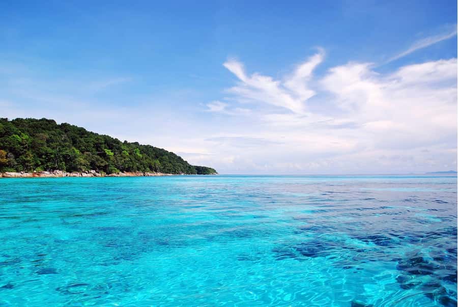 Phuket: Similan Island Day Trip by Speed Boat Catamaran - The return trip: snacks, local dishes, and one last reef check