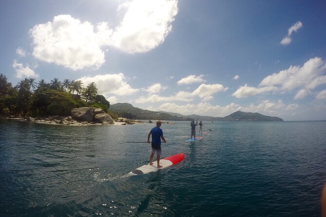 Phuket Stand Up Paddle Board Tour - Bangtao fishing bay to Laem Son Pineapple reef: what you’ll see from your board