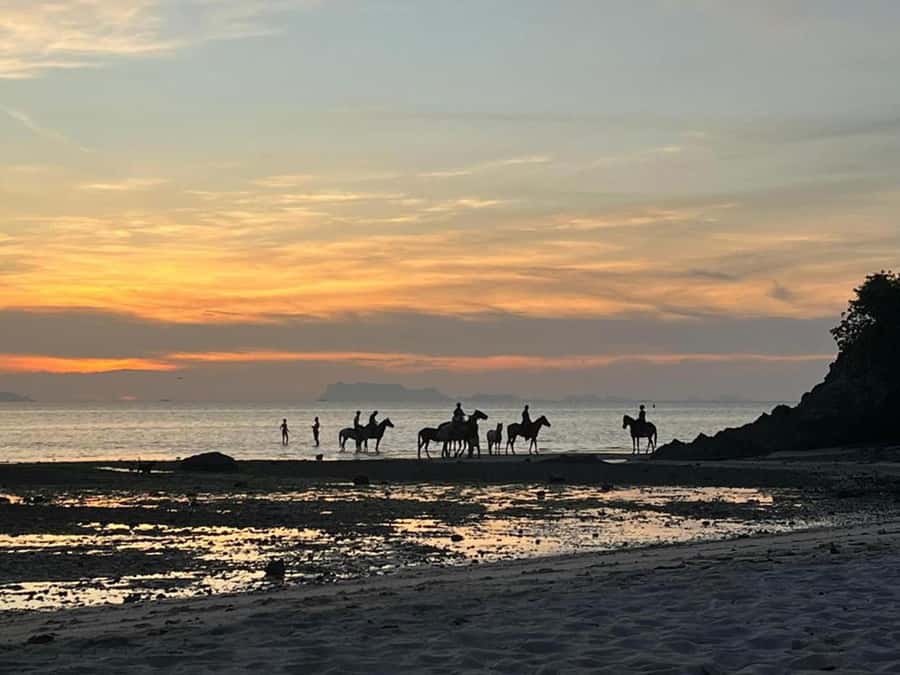 Phuket: Sunset Beach Horseback Journey - Key Things to Know Before You Saddle Up