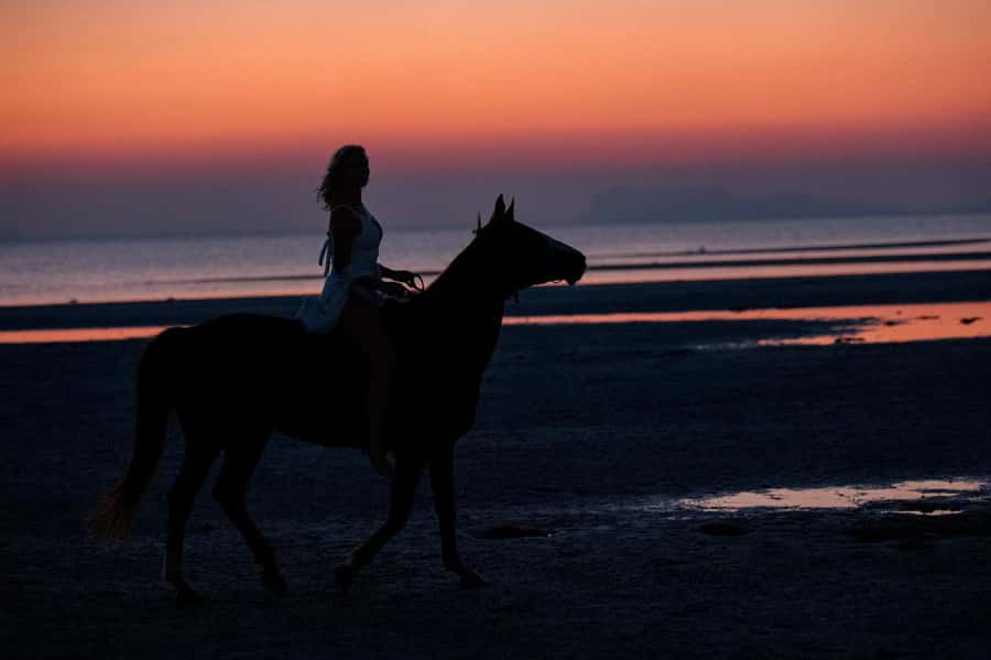 Phuket: Sunset Beach Horseback Journey - Timing the Rest of Your Evening Around This Ride