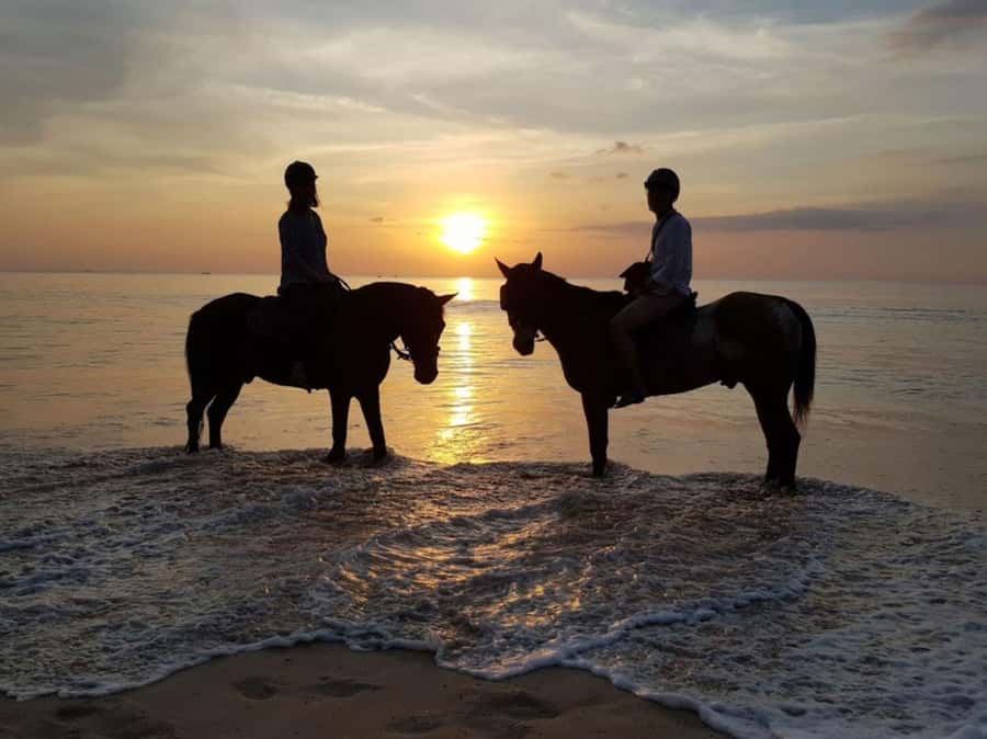 Phuket: Sunset Beach Horseback Journey - Riding Nai Yang Beach at Sunset: What Makes This Hour Special