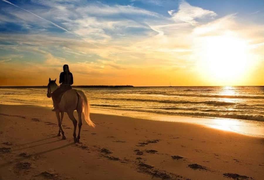 Phuket: Sunset Beach Horseback Journey - The Aircraft Factor: Why the Timing and Spotting Matter