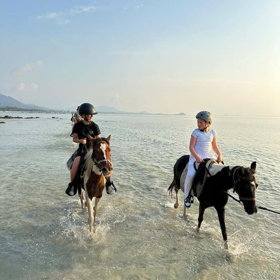 Phuket: Sunset Beach Horseback Journey - The Sea Ride Option: When You Might Get Wet (and When You Won’t)