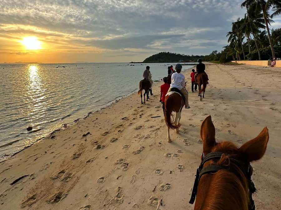 Phuket: Sunset Beach Horseback Journey - Guide Support: What to Expect When You’re a Beginner