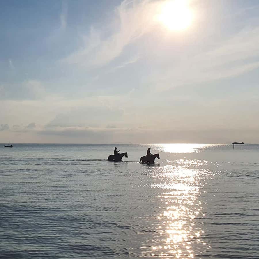 Phuket: Sunset Beach Horseback Journey - Small-Group Dynamics: Limited to 10, With a Max of 8 Riders