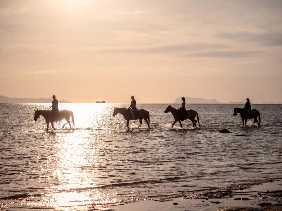 Phuket: Sunset Beach Horseback Journey - Price and Value: Is $91 Worth It for One Hour?