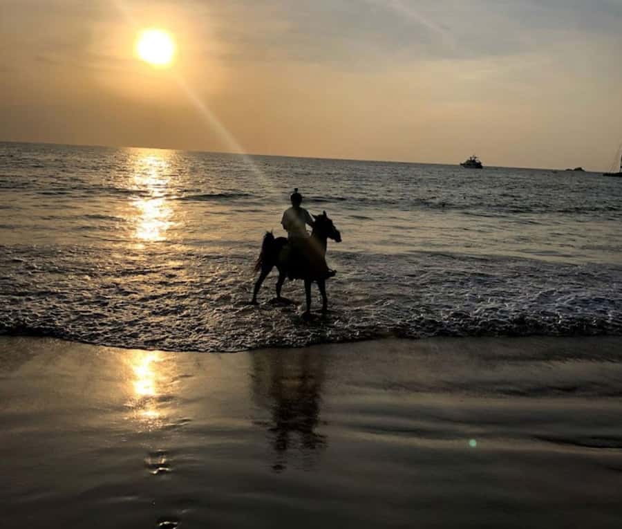 Phuket: Sunset Beach Horseback Journey - Gardens to Sand: How the Route Usually Feels in Real Time