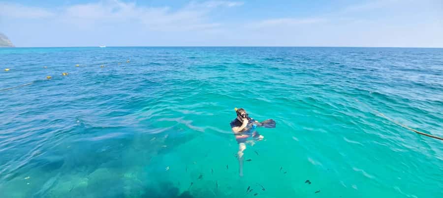 Phuket to Phi Phi Full-Day Luxury Speed Boat Charter - Key highlights worth caring about