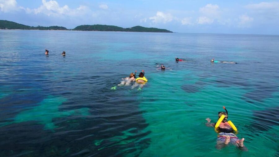 Phuket to Phi Phi Full-Day Luxury Speed Boat Charter - Pileh Lagoon and Phi Phi snorkeling: turquoise water and wildlife time