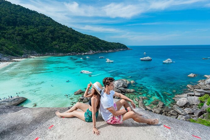Phuket to Similan Islands Snorkeling Tour - Wildlife: dolphins, sea turtles, and what to watch for