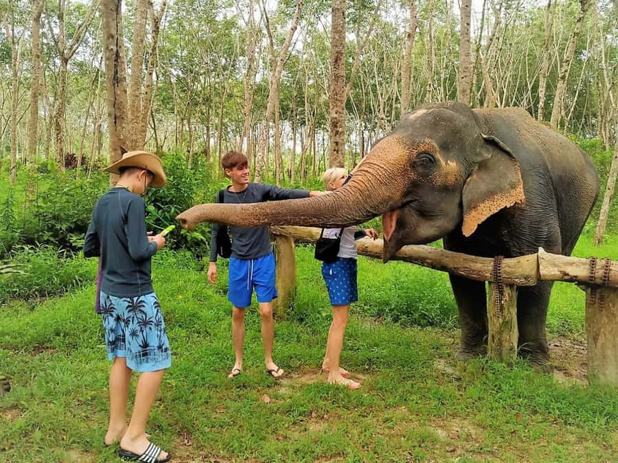 Phuket: Turtles, Rafting & Elephants Private Ethical Tour - Key Highlights You’ll Actually Feel