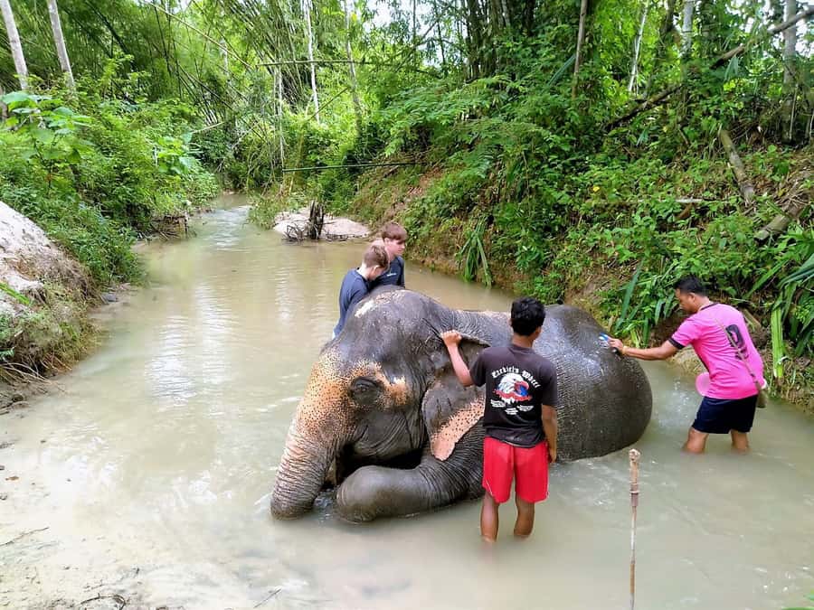 Phuket: Turtles, Rafting & Elephants Private Ethical Tour - Wat Lak Kaen: Old Temple Meaning Before the Elephants