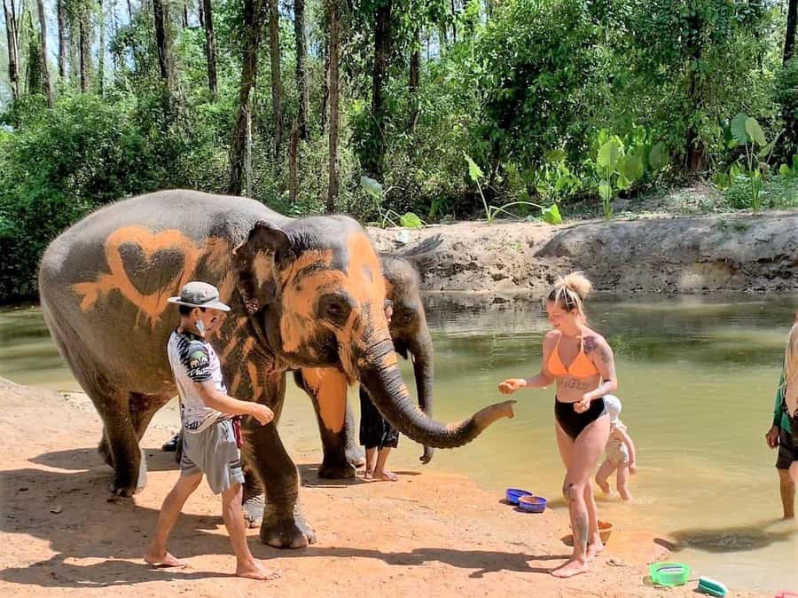 Phuket: Turtles, Rafting & Elephants Private Ethical Tour - Ethical Elephant Sanctuary: How Observation-Only Actually Feels