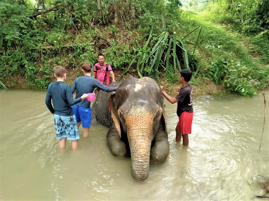 Phuket: Turtles, Rafting & Elephants Private Ethical Tour - Sea Turtle Conservation Center: Rescue Work You Can See
