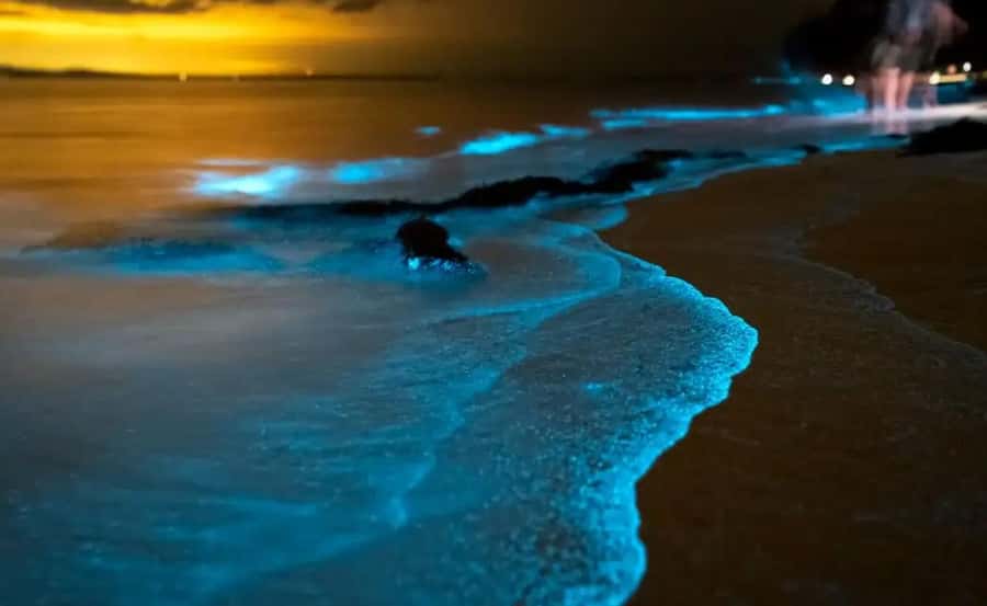 Phuket : Twilight Sea Canoe Tour with Glowing Plankton - Twilight Sea Canoe Tour: What the Night Glow Changes