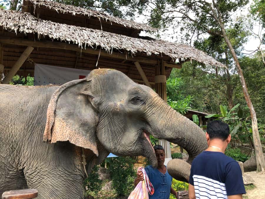 Phuket: White Water Rafting, Zipline, and Elephant Sanctuary - What to bring so you stay comfortable