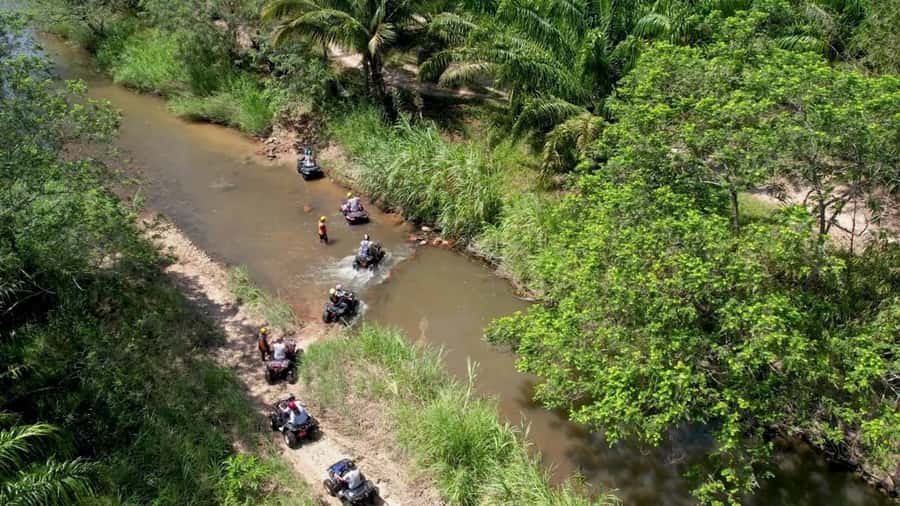 Phuket: White Water Rafting, Zipline, and Elephant Sanctuary - Elephant jungle sanctuary: close contact in the rainforest, with mixed ethics stories
