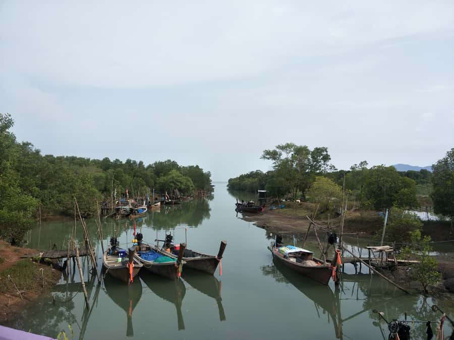 Phuket: Yao Island Cycling and Beach Day-Trip - Getting There: Van Transfer, Then the Boat to Yao Noi