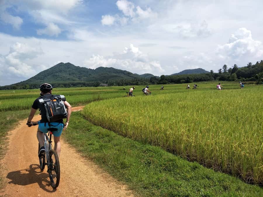 Phuket: Yao Island Cycling and Beach Day-Trip - Lunch on a Quiet Beach: Thai Food, Swim Timing, and Bay Views