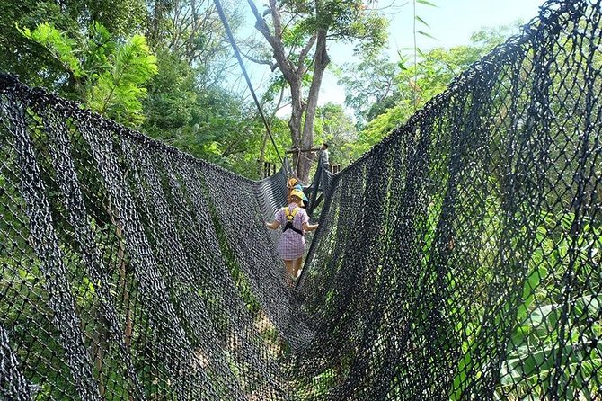 Phuket Zipline Adventure Tour - Views and wildlife vibes: what you’ll actually notice