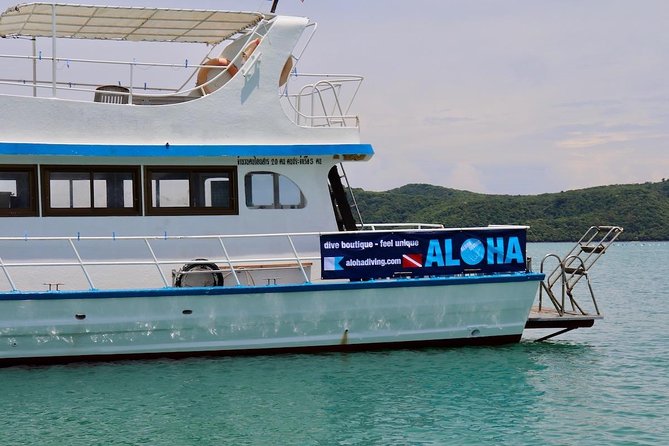 Premium Guided Scuba Diving Day Trip for Certified Divers - Premium value: is $162.24 fair for a Phuket day?