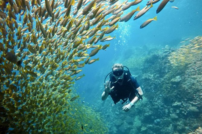 Premium Guided Scuba Diving Day Trip for Certified Divers - Underwater sites in Phuket: coral gardens, walls, and shipwrecks