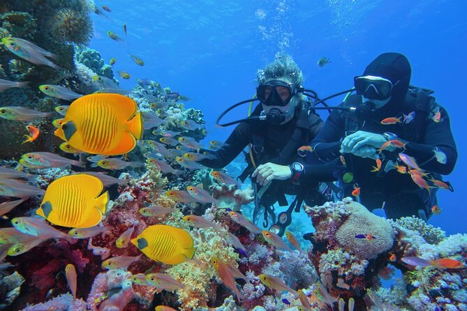 "Premium" Non Certified Beginner Scuba Diving in Racha Yai/Noi - Three Sessions, 50 Minutes Each, 50 Bars Max