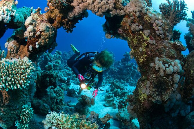 "Premium" Non Certified Beginner Scuba Diving in Racha Yai/Noi - Underwater Safety That Doesn’t Feel Like Theater