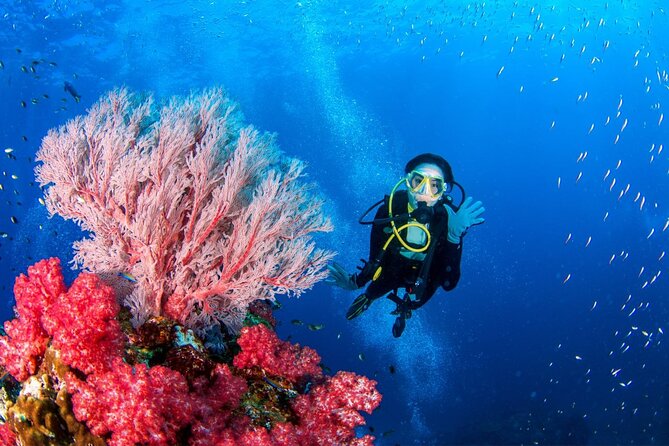 "Premium" Non Certified Beginner Scuba Diving in Racha Yai/Noi - Sea Conditions, Weather Dependence, and Your Best Mindset
